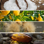 Load image into Gallery viewer, Salt and Sea 9 oz Soy Candle
