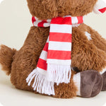 Load image into Gallery viewer, Rudolph Warmies
